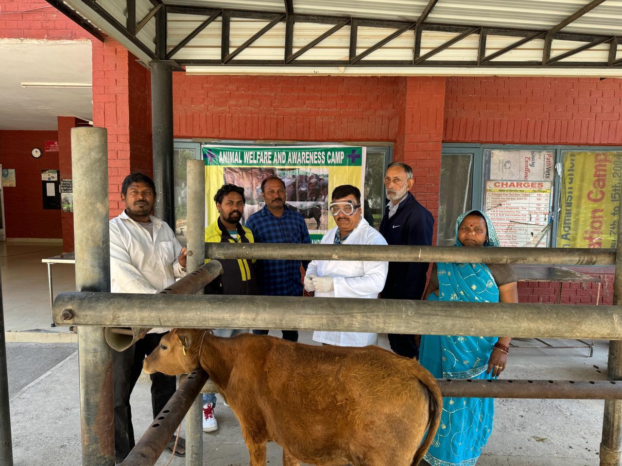 5h Round of Brucellosis Vaccination launched in U.T. Chandigarh